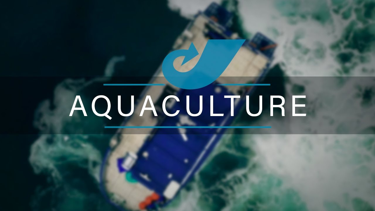 Lire la suite à propos de l’article [VIDÉO] HamiltonJet – Aquaculture